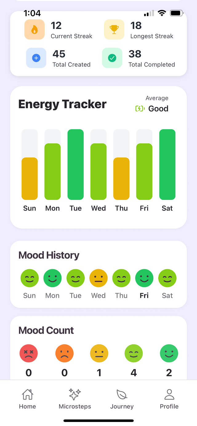 Selfmap - Journey Page