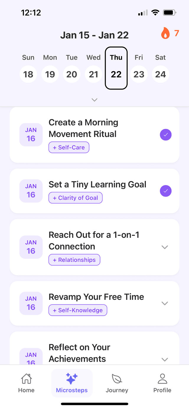 Selfmap - Microsteps